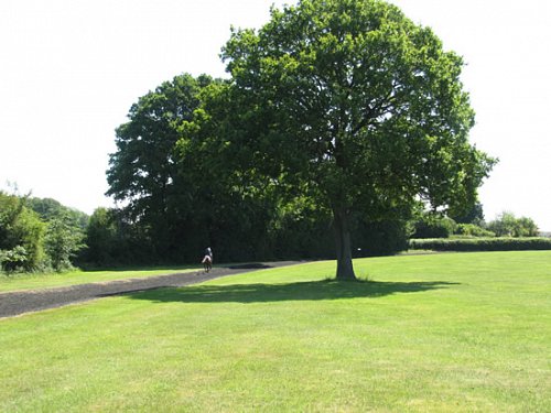 All weather and grass