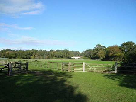 Peaceful paddocks